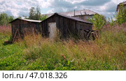 Old dark wooden small barn surrounded by green long grass. Стоковое фото, фотограф David Kashakhi / Фотобанк Лори