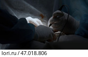 Close up of professional surgeons cauterizing an open wound during medical procedure. Стоковое фото, фотограф David Kashakhi / Фотобанк Лори