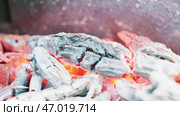 Smoldering hot coals on grill before cooking. Стоковое фото, фотограф David Kashakhi / Фотобанк Лори