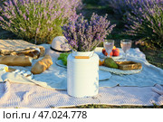 Горшок с цветами лаванды и вкусная еда для романтического пикника на лавандовом поле. Стоковое фото, фотограф Pixel_shot / Фотобанк Лори