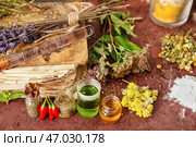 Ингредиенты для приготовления зелий на цветном фоне. Стоковое фото, фотограф Pixel_shot / Фотобанк Лори