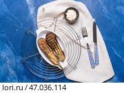 Решетка для охлаждения вкусных баклажанов на гриле на цветном фоне. Стоковое фото, фотограф Pixel_shot / Фотобанк Лори