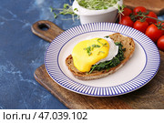 Вкусный бутерброд с флорентийским яйцом на цветном фоне. Стоковое фото, фотограф Pixel_shot / Фотобанк Лори