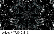 Abstract, monochrome symmetric pattern of feathers on black background, seamless loop. Стоковое фото, фотограф David Kashakhi / Фотобанк Лори