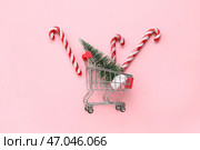 Корзина для покупок с игрушечной елкой и леденцовой палочкой на розовом фоне. Стоковое фото, фотограф Pixel_shot / Фотобанк Лори