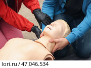 Люди, которые учатся выполнять СЛР на курсе первой помощи. Стоковое фото, фотограф Pixel_shot / Фотобанк Лори