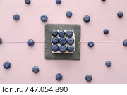Вкусный мусс торт с черникой на цветном деревянном фоне. Стоковое фото, фотограф Pixel_shot / Фотобанк Лори