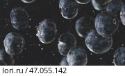 Fresh, plump Blueberries surrounded by glistening Water Droplets are a delight to behold. Стоковое видео, видеограф Владимир Ковальчук / Фотобанк Лори
