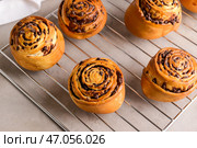 Вкусные булочки на охладительной решетке. Стоковое фото, фотограф Pixel_shot / Фотобанк Лори
