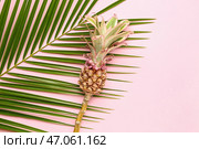 Декоративный ананас с пальмовым листом на розовом фоне. Стоковое фото, фотограф Pixel_shot / Фотобанк Лори