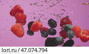 A Bright berries and Vibrant Pink Background for Creative and EyeCatching Designs and Projects. Стоковое видео, видеограф Владимир Ковальчук / Фотобанк Лори