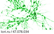 Animation of the activity of neurons and synapses. Стоковая иллюстрация, иллюстратор David Kashakhi / Фотобанк Лори