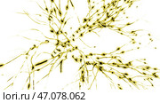 Animation of the activity of neurons and synapses. Стоковая иллюстрация, иллюстратор David Kashakhi / Фотобанк Лори