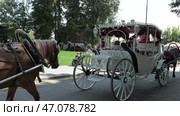 Конные экипажи на улицах старинного русского города Суздаль. Июль. Horse-drawn carriages on the streets of the ancient Russian city Suzdal. July. Редакционное видео, видеограф Горшков Александр / Фотобанк Лори