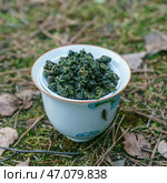 Enjoy Organic Oolong Tea Leaves served in a Traditional Cup for a unique experience. Стоковое фото, фотограф David Kashakhi / Фотобанк Лори