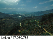 Experience the breathtaking aerial view of lush terraced hills and the captivating valley. Стоковое фото, фотограф David Kashakhi / Фотобанк Лори