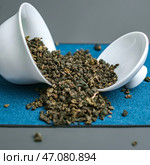 Oolong Tea Leaves are elegantly placed in white cups on a vibrant blue background. Стоковое фото, фотограф David Kashakhi / Фотобанк Лори