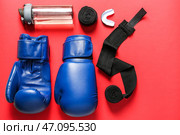 Боксерские перчатки, браслеты, бутылка воды и мундштук на цветном фоне. Стоковое фото, фотограф Pixel_shot / Фотобанк Лори