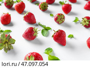 Много сладкой спелой клубники с мятой на белом фоне. Стоковое фото, фотограф Pixel_shot / Фотобанк Лори