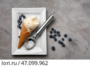 Вафельный рожок с вкусным мороженым, черникой и шариком на тарелке. Стоковое фото, фотограф Pixel_shot / Фотобанк Лори