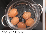 Стеклянная кастрюля с кипящими яйцами на плите на кухне, крупным планом. Стоковое фото, фотограф Pixel_shot / Фотобанк Лори