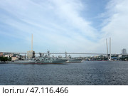 Военные корабли в бухте Золотой Рог. Владивосток (2022 год). Редакционное фото, фотограф Free Wind / Фотобанк Лори