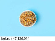 Чашка с пророщенной пшеницей на светло-голубом фоне. Стоковое фото, фотограф Pixel_shot / Фотобанк Лори