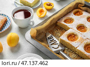 Противень с вкусным абрикосовым пирогом и чашкой чая на светлом столе, крупным планом. Стоковое фото, фотограф Pixel_shot / Фотобанк Лори