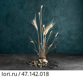 Кензан с красивой икебаной, ножницами и камнями на темном фоне. Стоковое фото, фотограф Pixel_shot / Фотобанк Лори