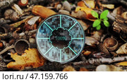 A sphere against the background of fallen leaves in the forest. Efficiency scale in the form of pie fractions with percentage addition. Стоковое видео, видеограф Константин Скуридин / Фотобанк Лори