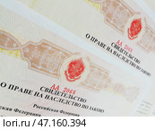 Свидетельство о праве наследства по закону (с сокращенным номером, без идентификации) Стоковое фото, фотограф Ольга Дерябина / Фотобанк Лори