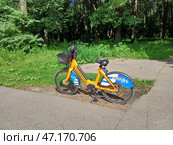 Электровелосипед в лесу. Лосиный остров. Район Гольяново. Москва (2024 год). Редакционное фото, фотограф lana1501 / Фотобанк Лори