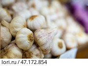 Garlic closeup in basket on market counter. Стоковое фото, фотограф Яков Филимонов / Фотобанк Лори