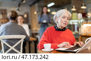 Mature woman sitting at table, using laptop and enjoing cup of tea in coffee house. Стоковое фото, фотограф Яков Филимонов / Фотобанк Лори