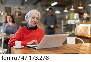 Mature woman sitting at table, using laptop and enjoing cup of tea in coffee house. Стоковое фото, фотограф Яков Филимонов / Фотобанк Лори