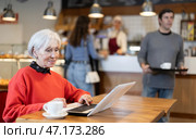 Mature woman sitting at table, using laptop and enjoing cup of tea in coffee house. Стоковое фото, фотограф Яков Филимонов / Фотобанк Лори