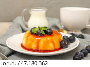 Тарелка с вкуснейшим пудингом, черникой и мятой в карамельном сиропе на серой салфетке. Стоковое фото, фотограф Pixel_shot / Фотобанк Лори