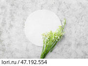 Красивые цветы ландыша и пустая карточка на светлом фоне. Стоковое фото, фотограф Pixel_shot / Фотобанк Лори