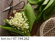 Доска с красивыми цветами ландыша на деревянном фоне. Стоковое фото, фотограф Pixel_shot / Фотобанк Лори