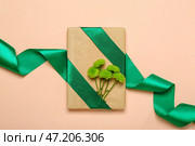 Красивая подарочная коробка, перевязанная зеленой лентой и цветами хризантем на цветном фоне. Стоковое фото, фотограф Pixel_shot / Фотобанк Лори