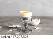Держатель с яйцом всмятку и скорлупой на столе на сером фоне. Стоковое фото, фотограф Pixel_shot / Фотобанк Лори