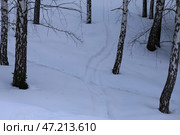 Лес в горах Алматы в марте. Медеу. Стоковое фото, фотограф Евгений Митрофанов / Фотобанк Лори