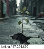 A young plant breaks through cracked asphalt in an abandoned urban area. The thin stem with small green leaves symbolizes life, strength and hope amidst destruction. Desolation reigns all around: gray cracked asphalt, dark walls of buildings, garbage in the background. However, rays of light breaking through into the depths of the street emphasize the contrast between the cruelty of the environment and the fragility but resilience of nature. Стоковое AI-изображение, AI-художник Анна Кривицкая / Фотобанк Лори
