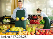 Male seller of vegetable department of store replenishing showcase with apple, put ones on showcase. Стоковое фото, фотограф Яков Филимонов / Фотобанк Лори