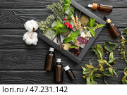 Ингредиенты для приготовления зелий на столе алхимика. Стоковое фото, фотограф Pixel_shot / Фотобанк Лори