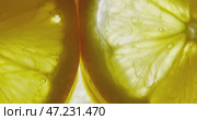 Closeup view of a Freshly Cut Lemon Slice with its Juicy and Tangy Texture, Highlighted. Стоковое видео, видеограф Владимир Ковальчук / Фотобанк Лори