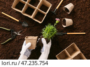 Садовница сажает цветы на открытом воздухе. Стоковое фото, фотограф Pixel_shot / Фотобанк Лори