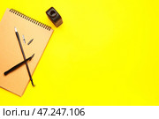 Принадлежности для занятий каллиграфией на цветном фоне. Стоковое фото, фотограф Pixel_shot / Фотобанк Лори