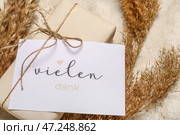 Открытка с текстом VIELEN DANK, подарочной коробкой и пампасной травой на гранж-фоне. Стоковое фото, фотограф Pixel_shot / Фотобанк Лори