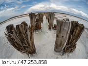Озеро Баскунчак (2024 год). Стоковое фото, фотограф Вадим Ашмаров / Фотобанк Лори